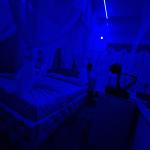 Relax room BLUE 8 cu balcon